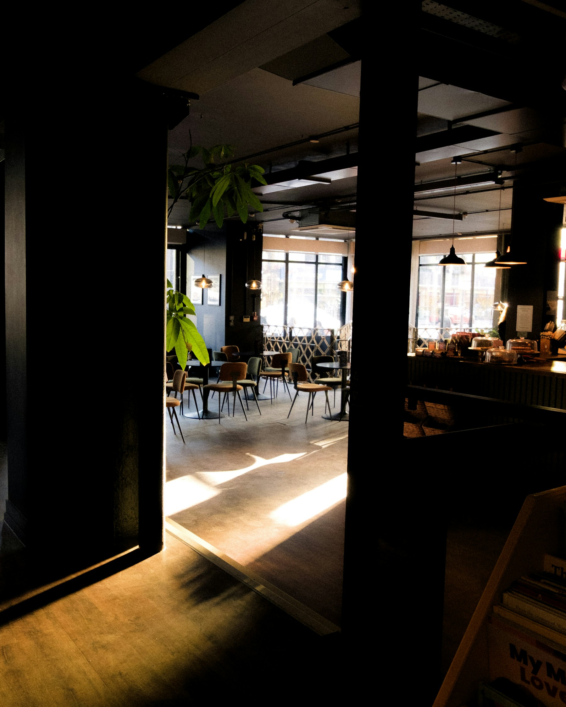Warm sunlight crossing a quiet cafe interior